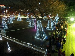 20090104PC040135.jpg