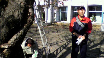 2009112110450000.jpg