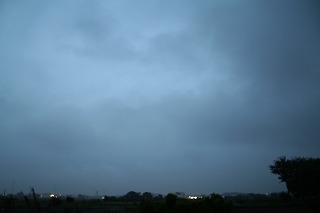 IMG_2298.jpg