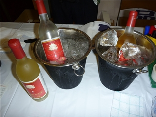 P1000890.jpg