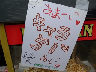 P1010167.jpg