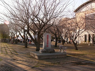 P1120901.jpg