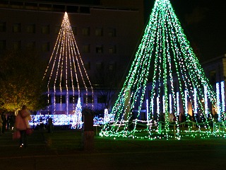 P1120945.jpg