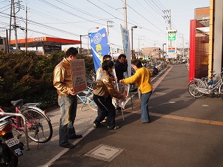 P3193350.jpg