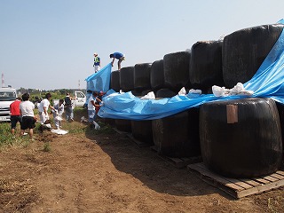 P8210920.jpg