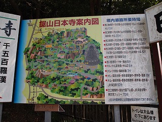 P9051956.jpg