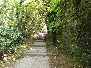 P9051957.jpg