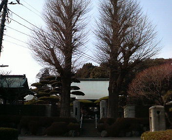 003.jpg