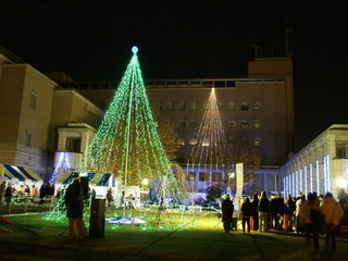 12120302.jpg
