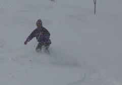 2006.3.18八方尾根 11.jpg