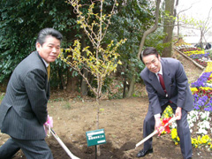 2006.4.2 006.jpg
