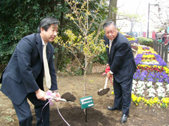 2006.4.2 007.jpg