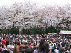 2006.4.2 173.jpg