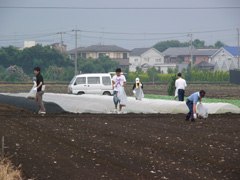 20060826hanabi 129.jpg