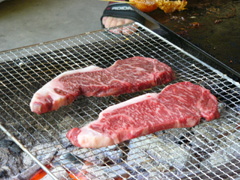 20060924 042.jpg