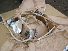 2006hanabi1 158.jpg