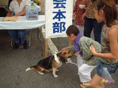 2006hanabifp 033.jpg