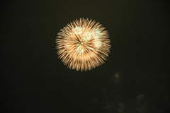 2006hanabinikon 211.jpg