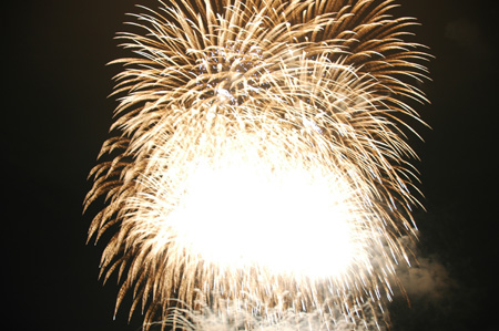 2006hanabinikon 239.jpg