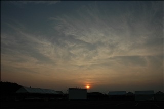 20070825nikon 004.jpg
