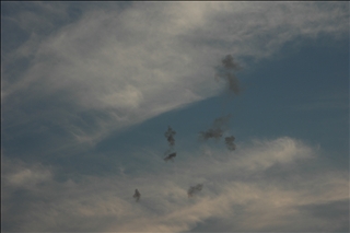 20070825nikon 006.jpg
