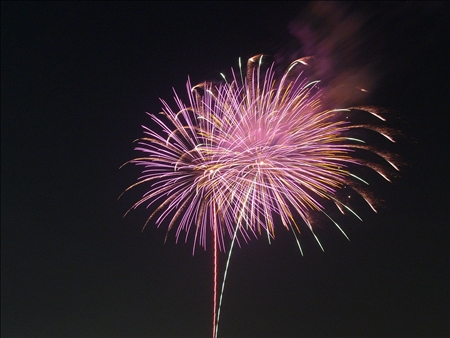 2007hanabiseinennbu 212a.jpg