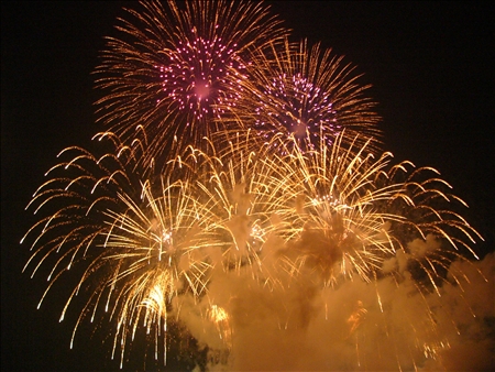 2007hanabiseinennbu 277.jpg