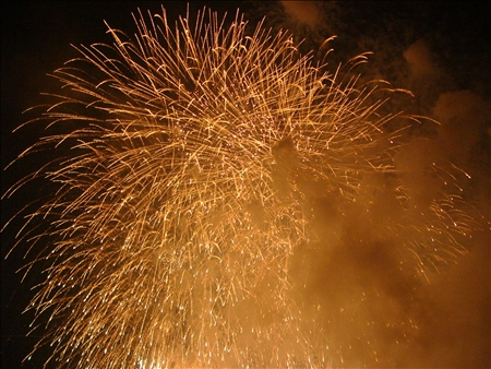 2007hanabiseinennbu 285.jpg