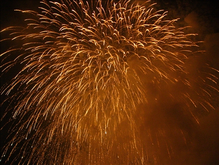 2007hanabiseinennbu 286.jpg