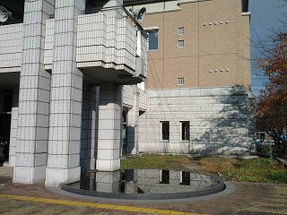 2012-11-28 14.50.54.jpg
