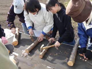 DSC00229.jpg