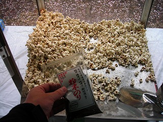 DSCN0785.jpg
