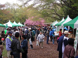 DSCN0792.jpg