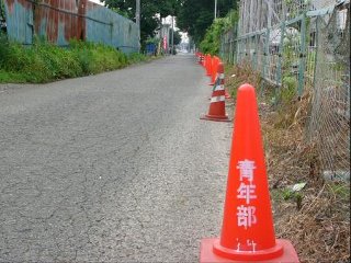IMAGE005.jpg