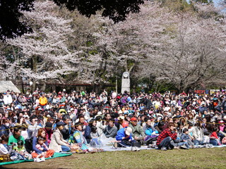 P1000091.jpg