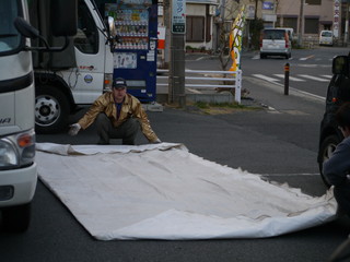 P1000134.jpg