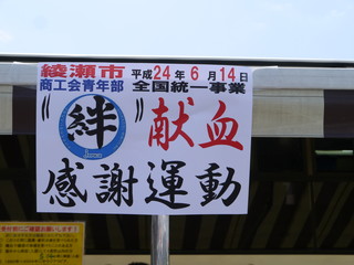 P1000538.jpg