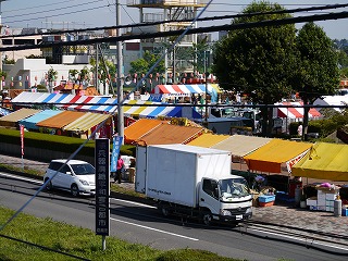 P1000723.jpg