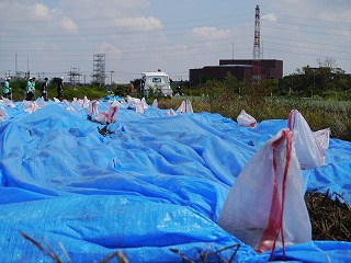 P1000730.jpg