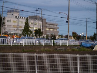 P1000783.jpg