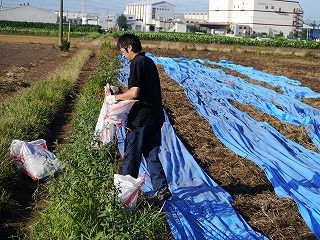P1000821.jpg
