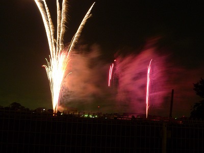 P1010066.jpg