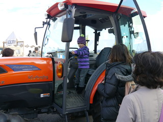 P1010078.jpg