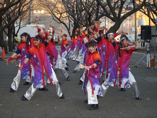 P1010310.jpg