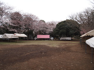P4075362.jpg