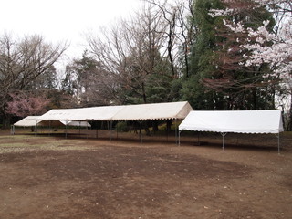 P4075363.jpg