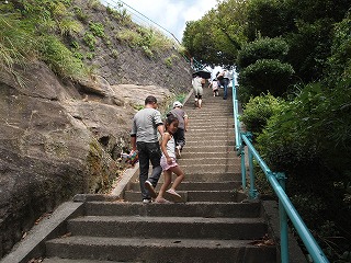 P9051954.jpg