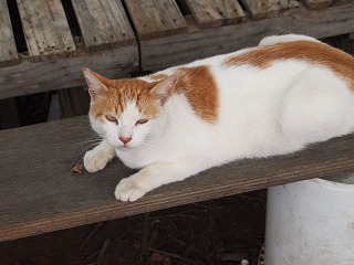 P9166739.jpg
