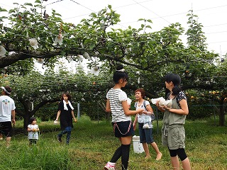 P9166748.jpg
