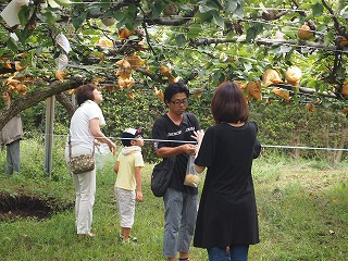 P9166751.jpg
